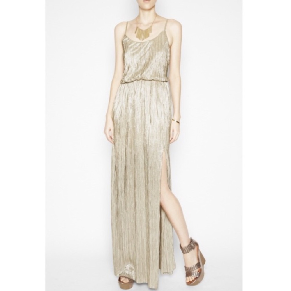 BNWT BCBG Maxi Dress